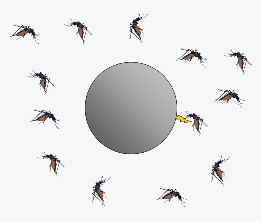 Bug Zappers And Electrostatics The Smoluchowski Diffusion - Flying Transparent Insect Mosquito Mosquito Png, Png Download, Free Download