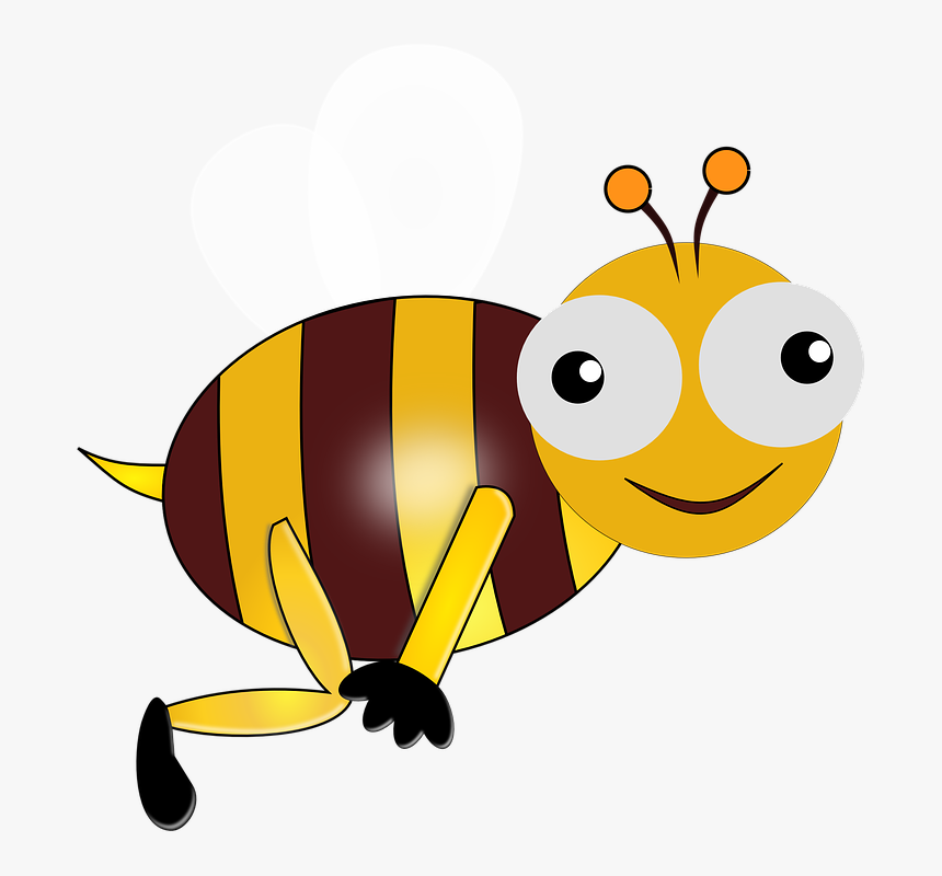 Eyes, Bee, Bug, Flying, Smiling, Insect, Bumble, Smile - Bumble Bee Smiling, HD Png Download, Free Download