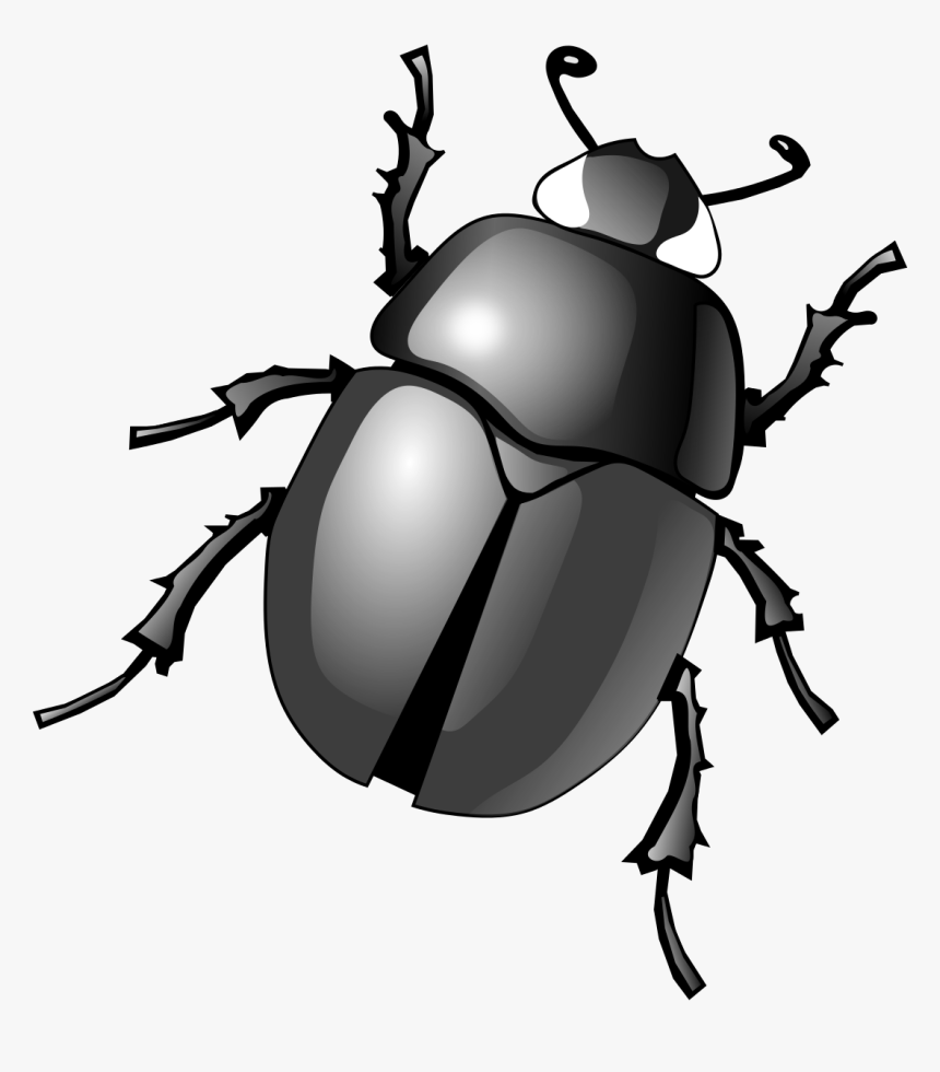 Dung Beetle Clip Art - Transparent Background Beetle Clipart, HD Png Download, Free Download