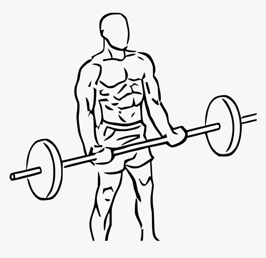 Transparent Weightlifting Clipart - Cross Body Hammer Curl, HD Png Download, Free Download