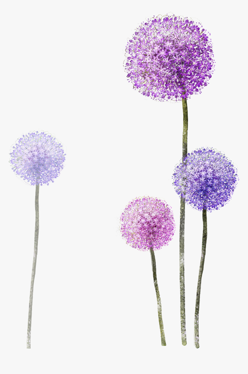 Purple Paper Wallpaper Dandelion Hq Image Free Png - Dandelion Png, Transparent Png, Free Download