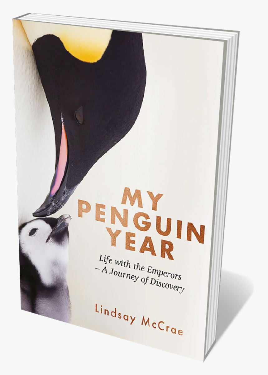 Book Cover - King Penguin, HD Png Download, Free Download