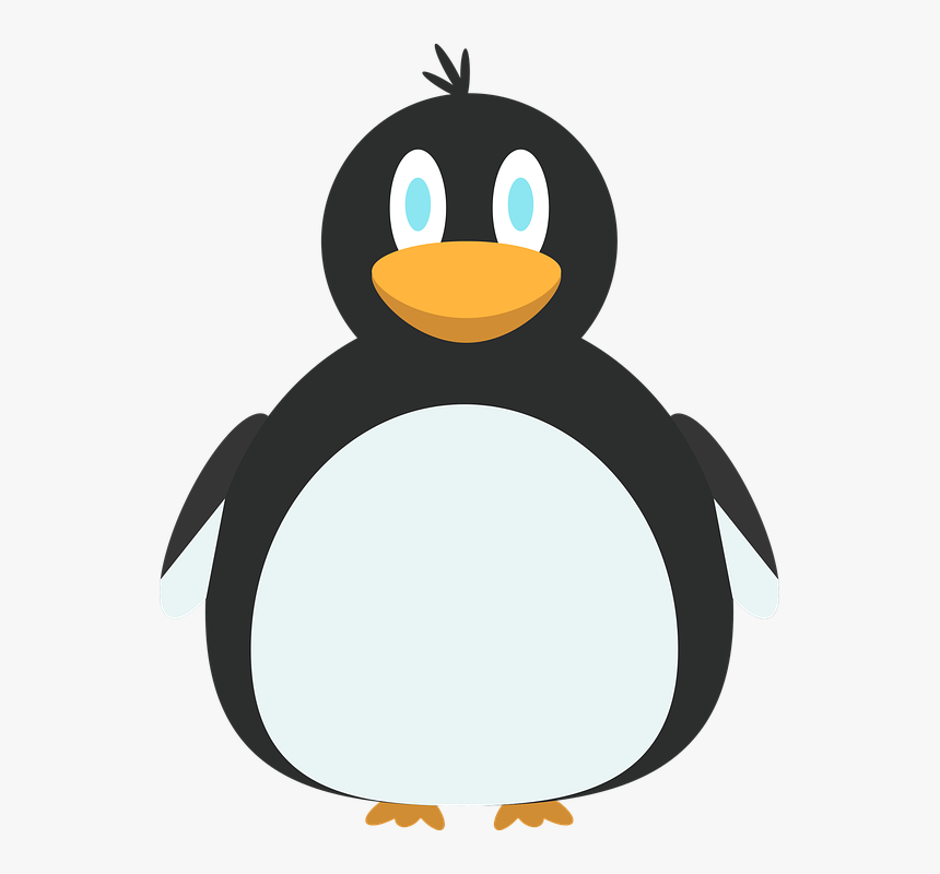 Penguin, Arctic Penguin, Animal, Animal Character - Penguin, HD Png Download, Free Download