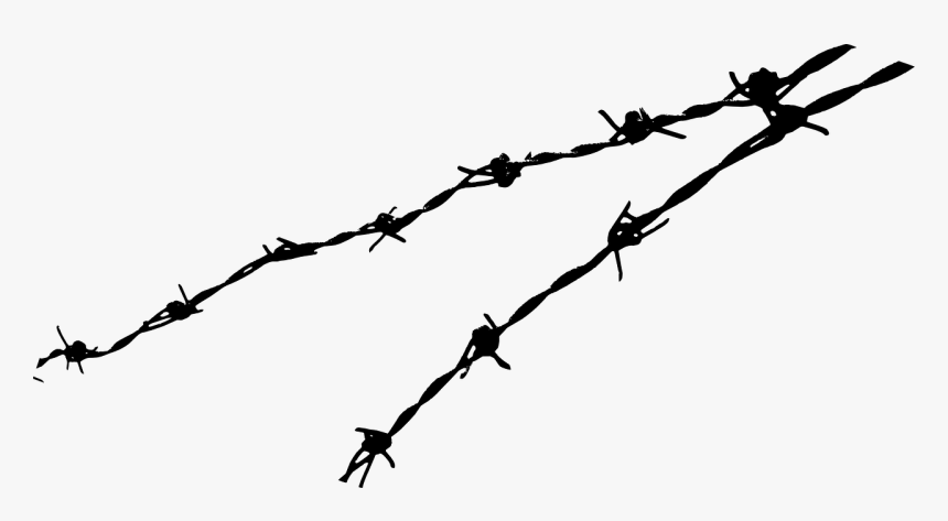 Barbed Wire Png, Transparent Png, Free Download