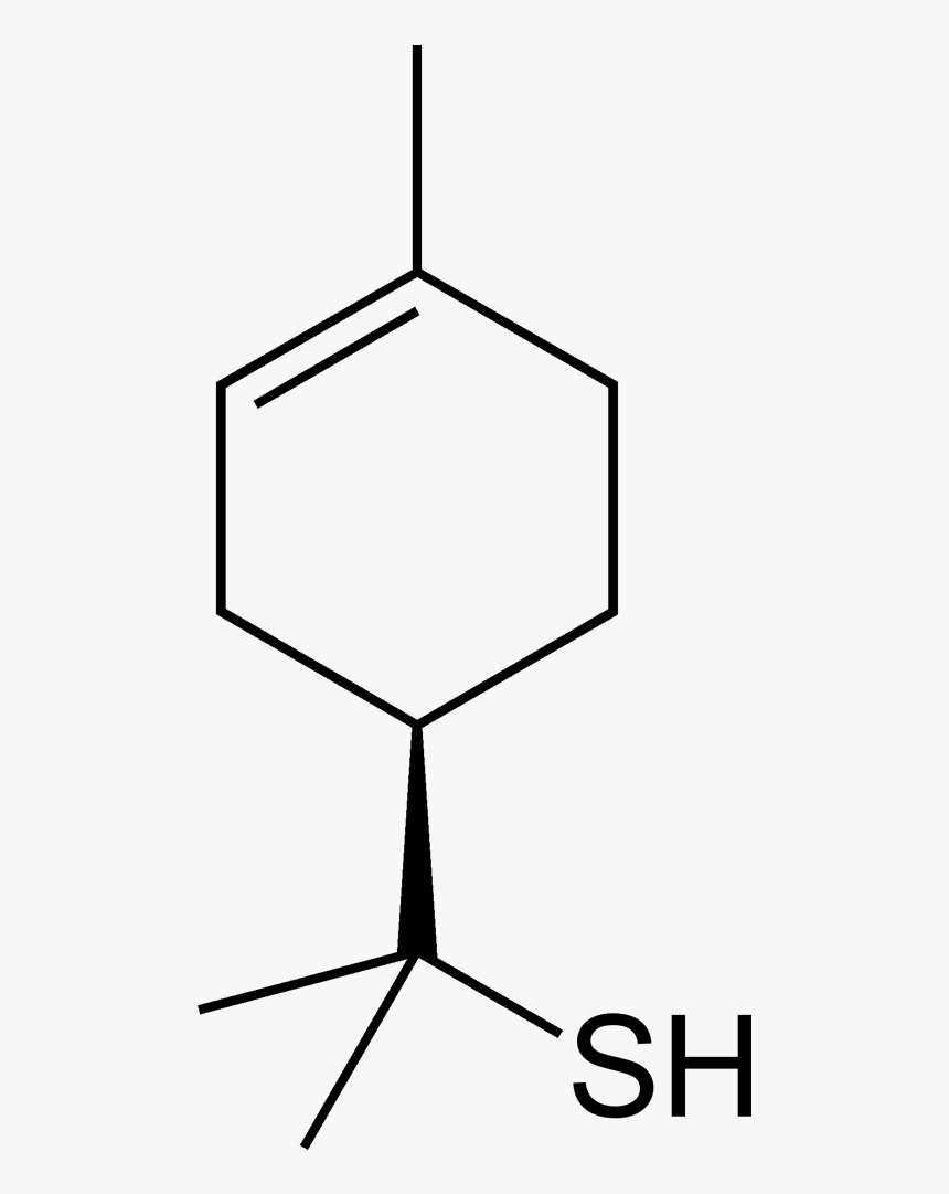 Grapefruit Mercaptan 2d Skeletal Vertical - Delta Cadinene, HD Png Download, Free Download