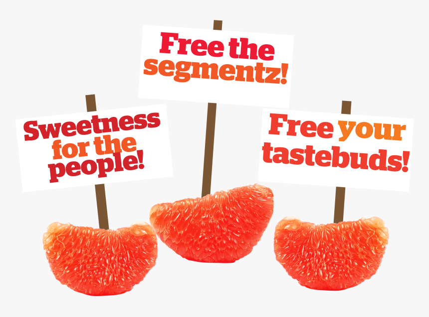 Strawberry , Png Download - Animal Shelter, Transparent Png, Free Download