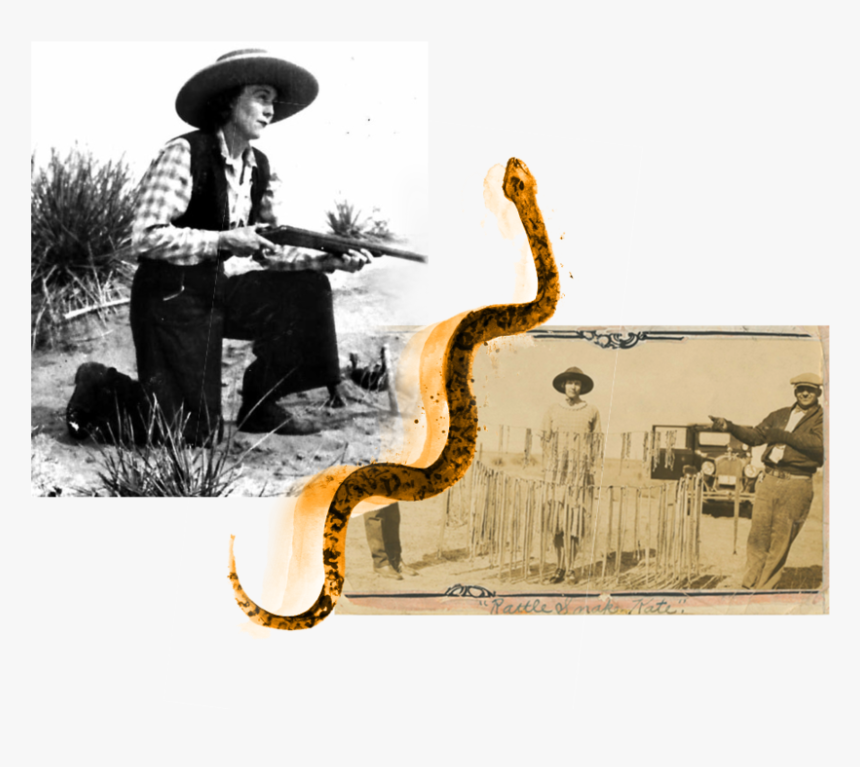 Denver Rattlesnake Kate Header - Greeley Colorado History, HD Png Download, Free Download