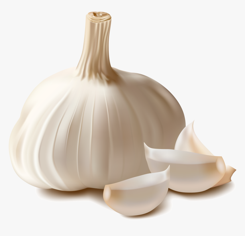 Garlic Png, Transparent Png, Free Download