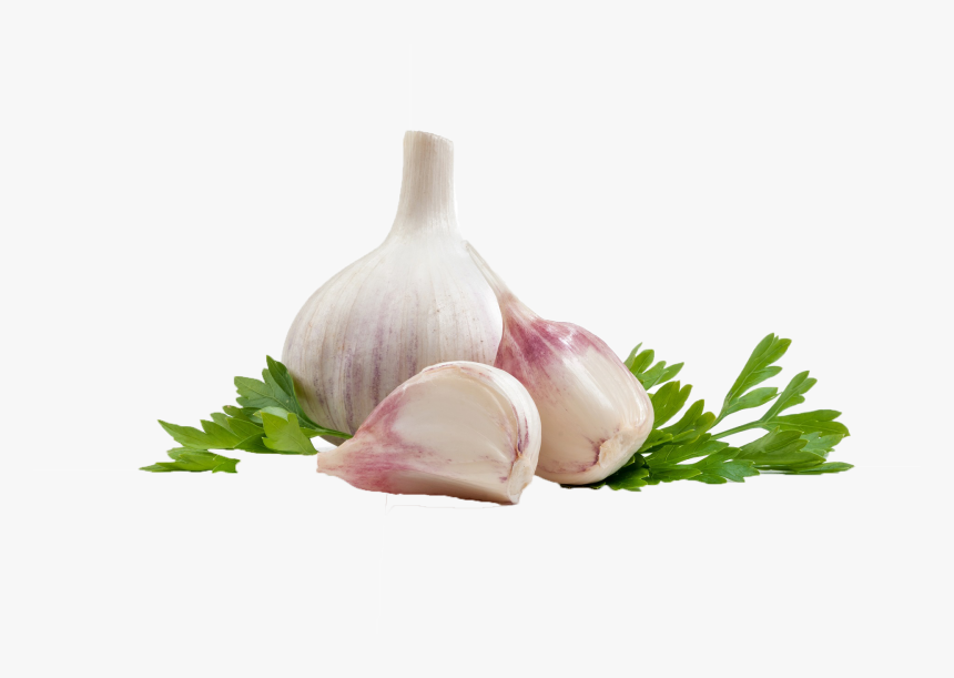 Garlic Mediterranean Cuisine Portable Network Graphics - Garlic Png, Transparent Png, Free Download