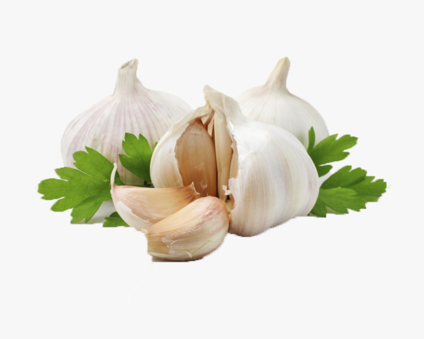 Garlic Olive Oil Herb Ingredient - Transparent Background Garlic Png, Png Download, Free Download