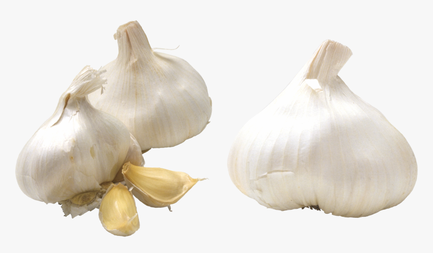 Garlic Png, Transparent Png, Free Download