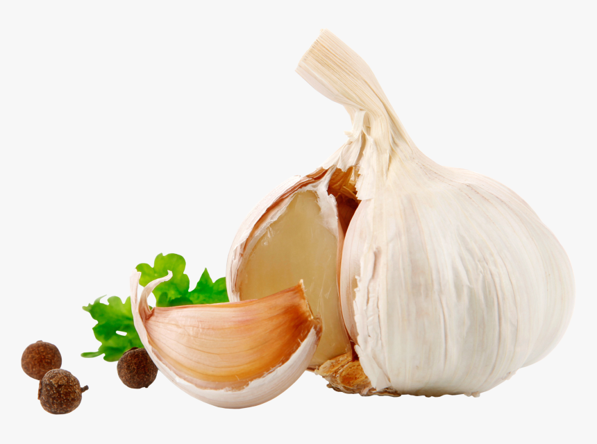 Garlic Png - Чеснок Пнг, Transparent Png, Free Download