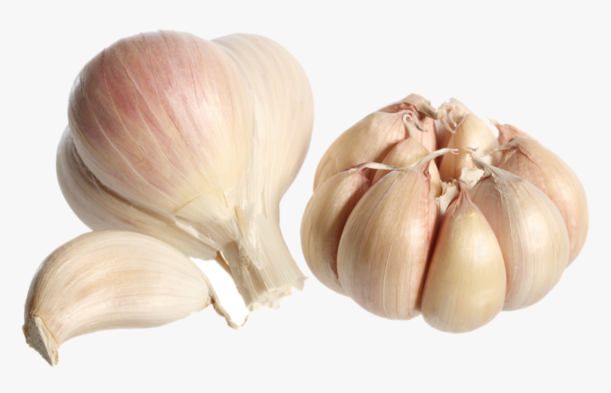 Garlic Png Photo - Garlic Clove, Transparent Png, Free Download