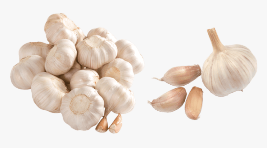 Free Png Garlic Png Images Transparent - Garlic Images Png, Png Download, Free Download