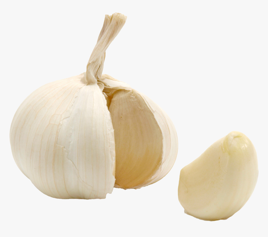 Garlic , Png Download - Garlic, Transparent Png, Free Download