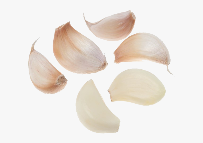 Garlic Transparent Free Png - Garlic Cloves Transparent Background, Png Download, Free Download