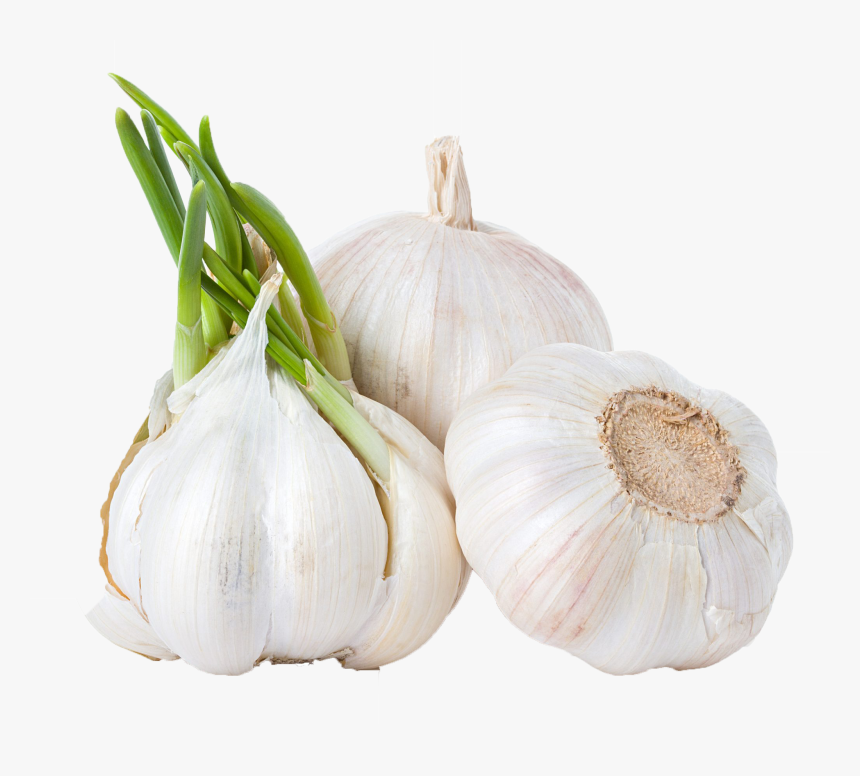 Garlic Png Background Clipart - Characteristics Of Fresh Garlic, Transparent Png, Free Download