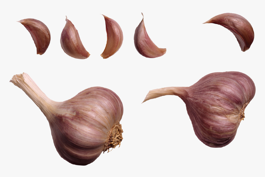Garlic Png Image - Warts In Hands Treatment, Transparent Png, Free Download