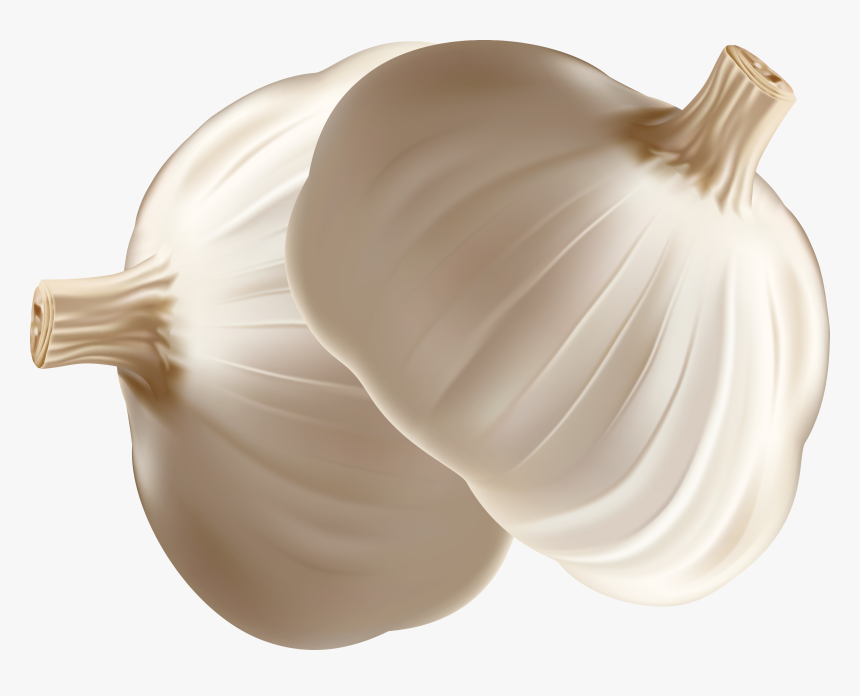 Garlic Onion Euclidean Vector - Garlic, HD Png Download, Free Download