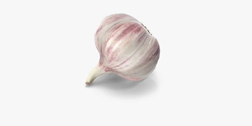 Garlic Png Free Download - Garlic, Transparent Png, Free Download