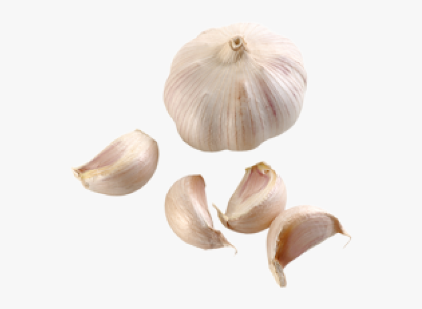 Transparent Garlic Png - Garlic Png Transparent, Png Download, Free Download