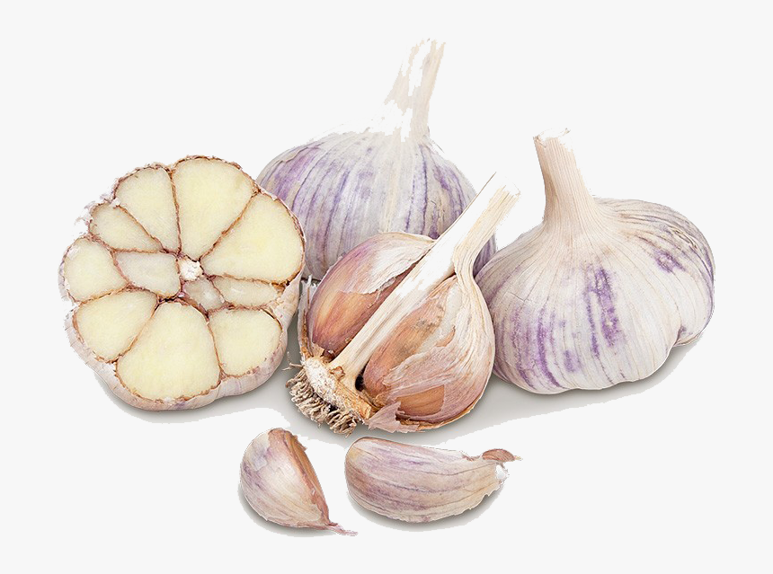 Garlic , Png Download - Garlic, Transparent Png, Free Download