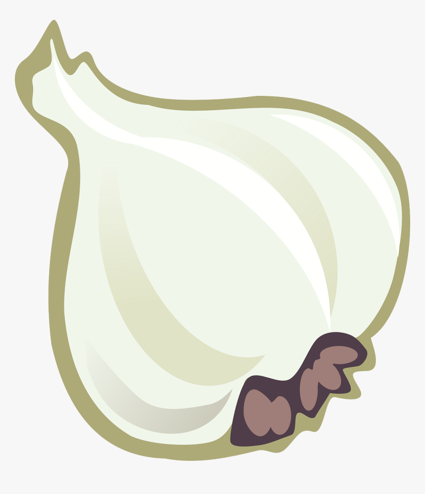 Public Domain Clip Art - Garlic Clip Art, HD Png Download, Free Download