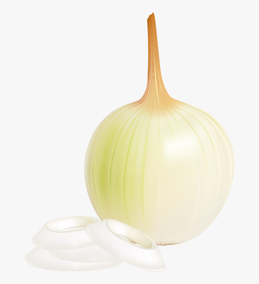 View Full Size - Elephant Garlic, HD Png Download, Free Download