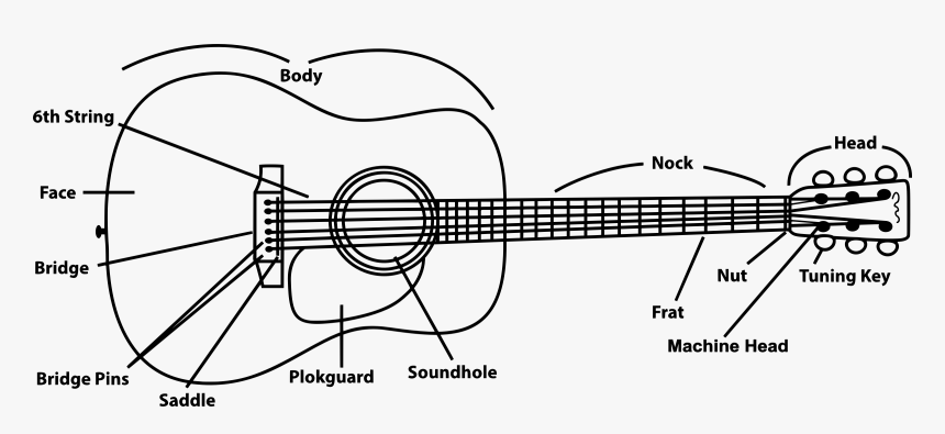 Acoustic Guitar Clip Arts - Annotated Guitar, HD Png Download, Free Download