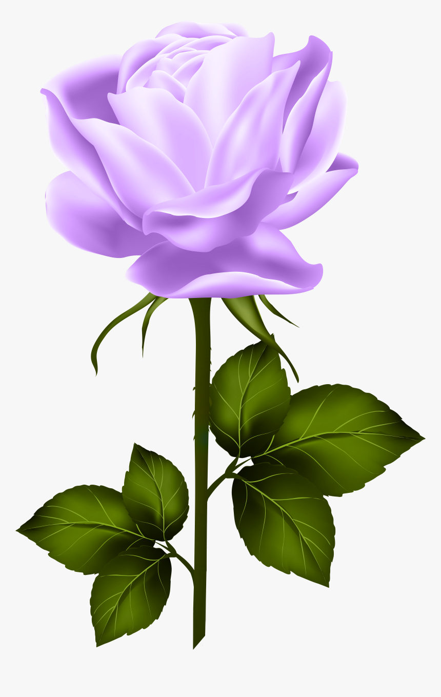 Shabby Chic Flowers, Hybrid Tea Roses, Single Rose, - Purple Rose With Stem, HD Png Download, Free Download