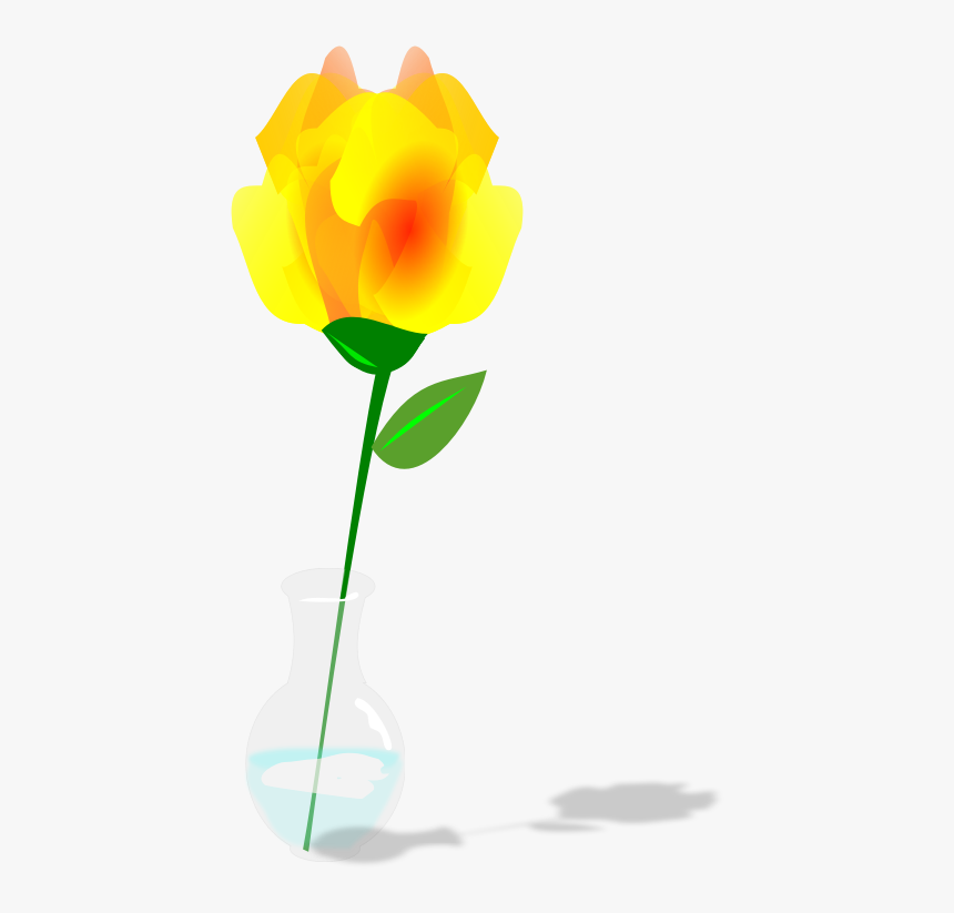 Single Yellow Rose - Tulip, HD Png Download, Free Download