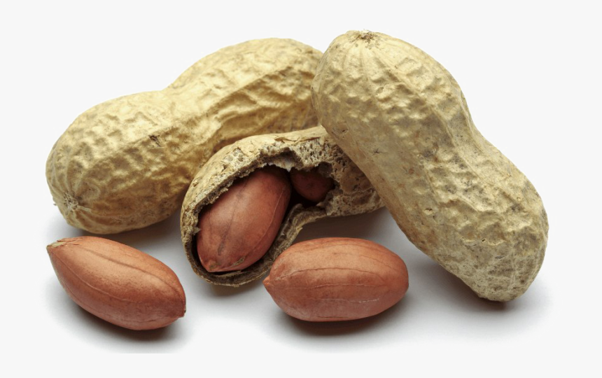 Peanut Png Free Download - Peanut Png, Transparent Png, Free Download