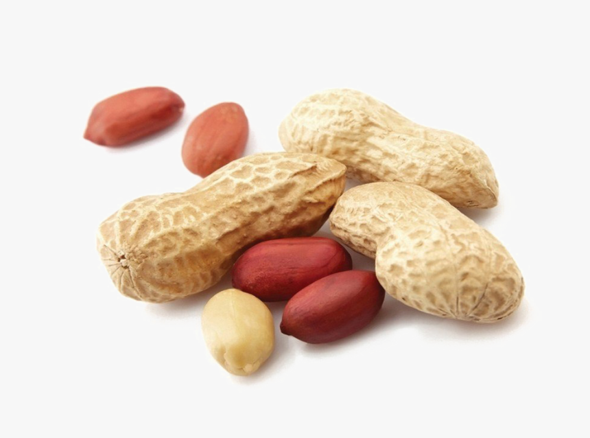 Peanut Png Transparent Hd Photo - Health Benefits Of Groundnut, Png Download, Free Download