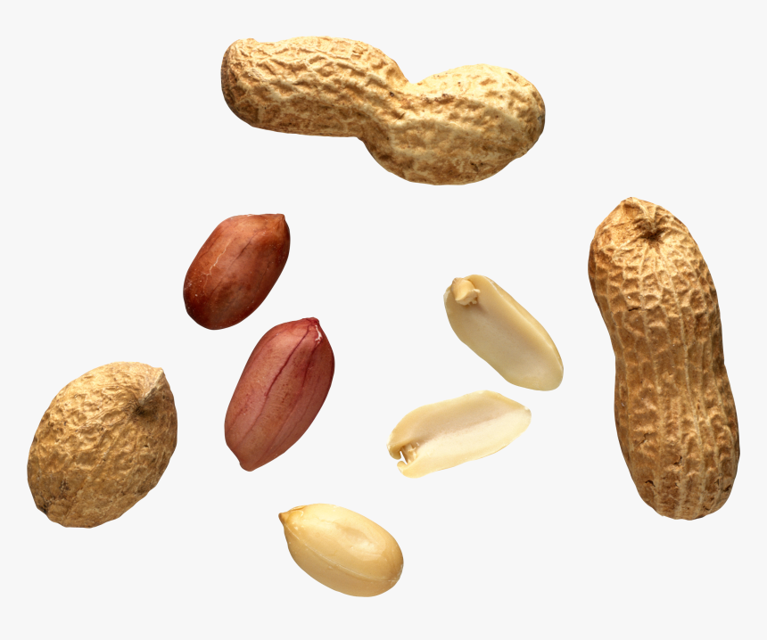 Peanut Png - Transparent Background Peanuts Png, Png Download, Free Download