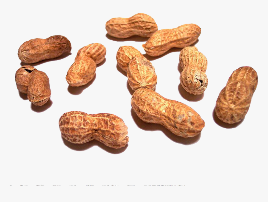 Sunshine Peanut Png Download - Peanut Shells Png, Transparent Png, Free Download