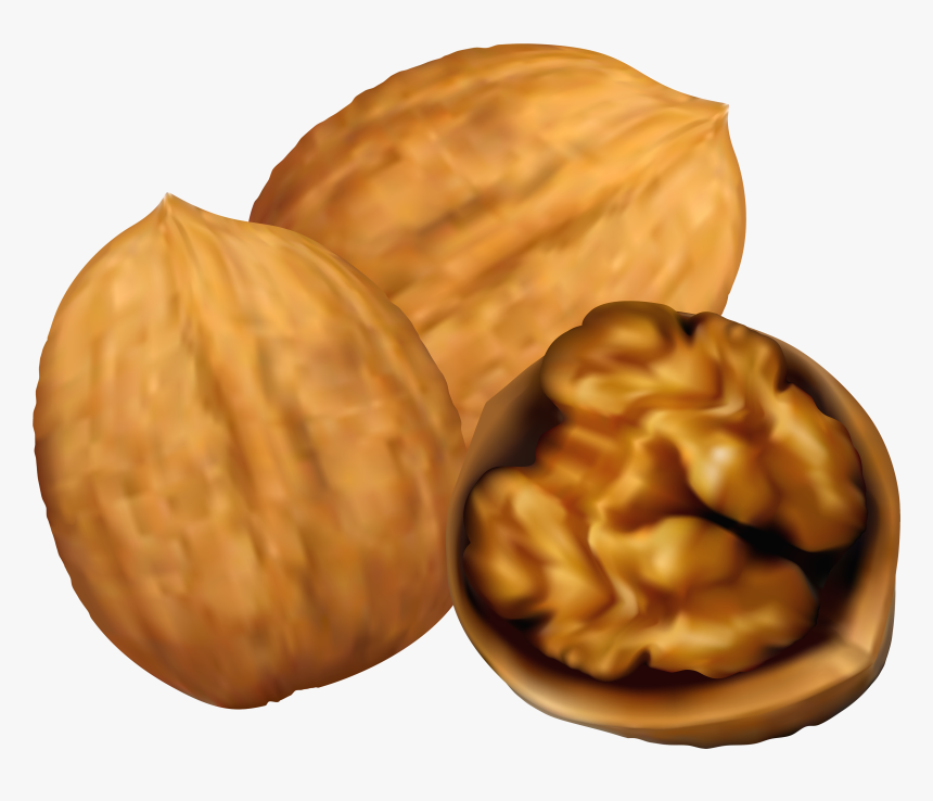 Transparent Peanut Png - Clip Art Of Walnut, Png Download, Free Download