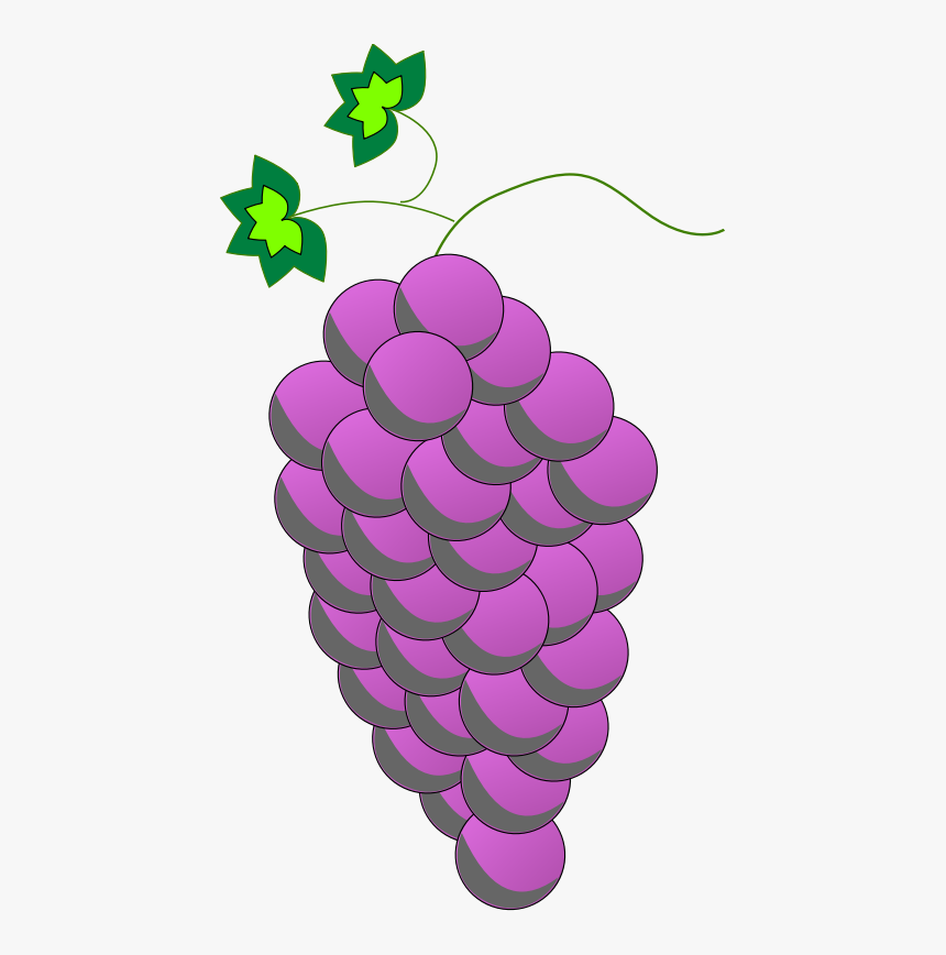 Plant,grape,grapevine Family - Grape, HD Png Download, Free Download