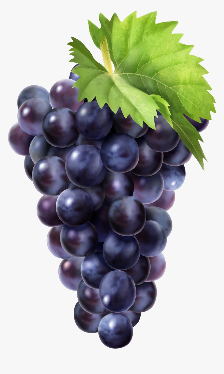 Black Grapes Clip Art - Blvk Unicorn Fruit Box Unigrape, HD Png Download, Free Download