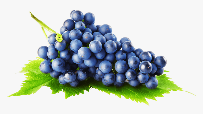 Black Grapes Png Image Background - Grapes Png, Transparent Png, Free Download