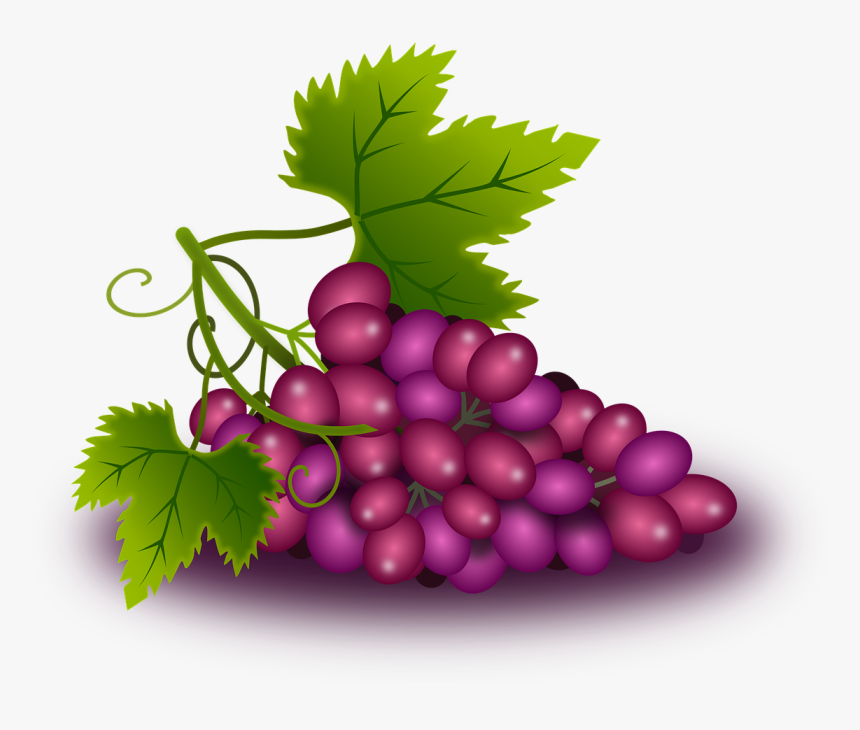 Trigo Y Uvas Png, Transparent Png, Free Download