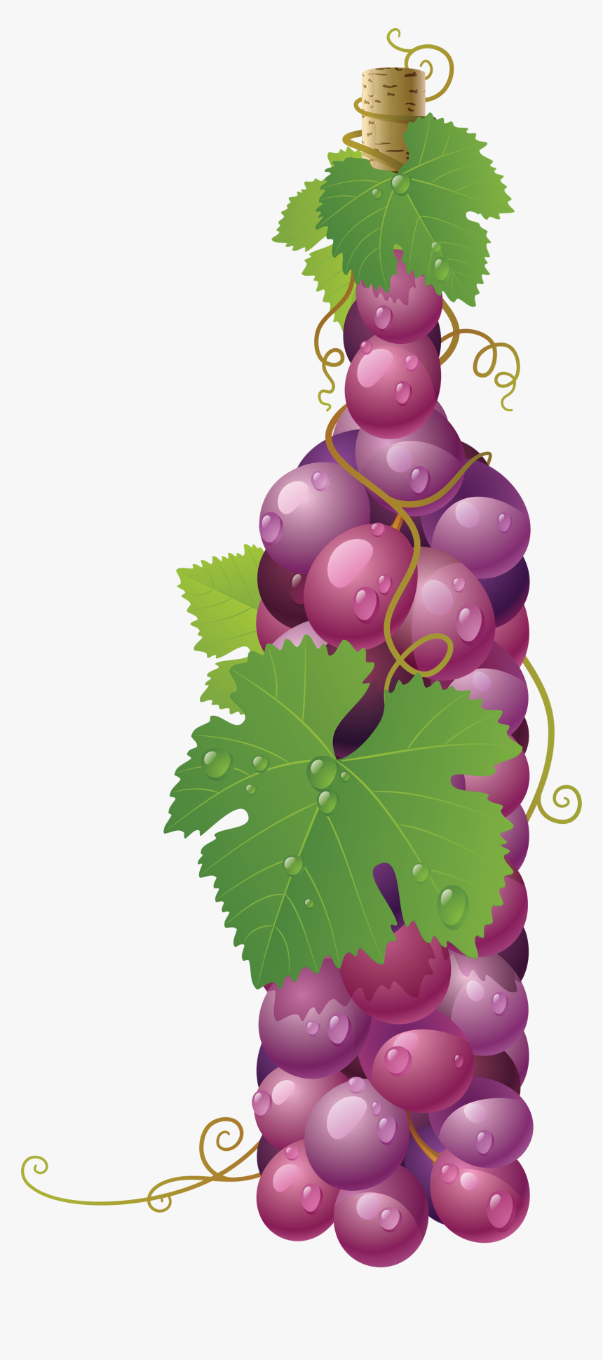 Red Grape Png Image - Grapes In A Bottle, Transparent Png, Free Download