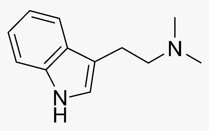 File - Dmt - Psilocin Dmt Molecule, HD Png Download, Free Download