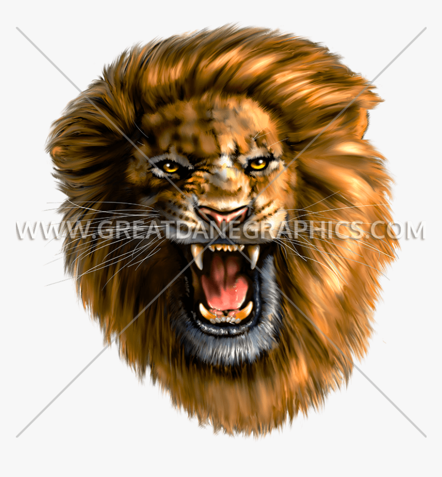 Roaring Lion Head - T Shirt Roaring Lion, HD Png Download, Free Download