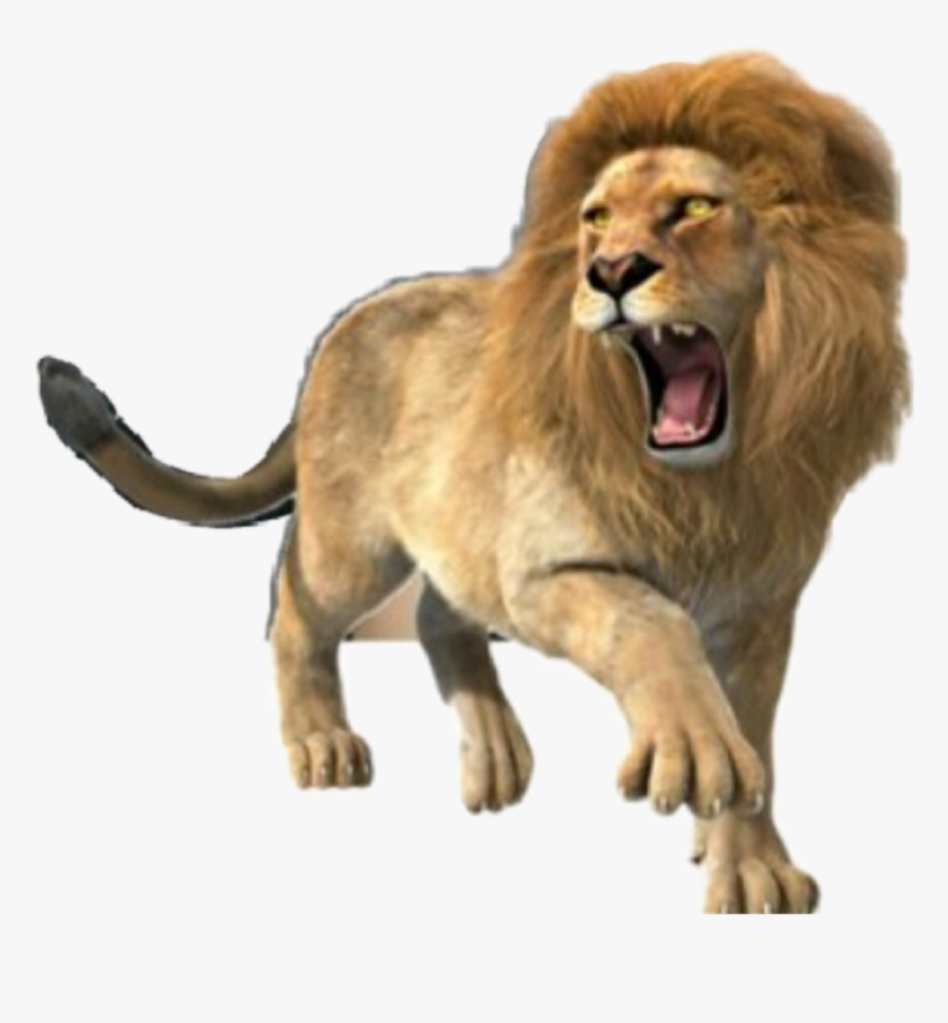 Lion Roar Roaringlion Animals Strength Power Tribeofjud - Lion Full Body Roaring, HD Png Download, Free Download