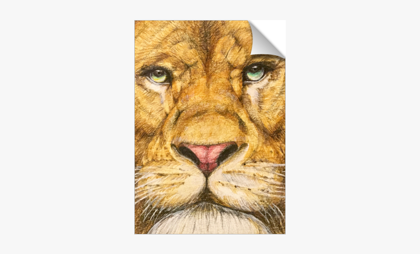 Lion, HD Png Download, Free Download