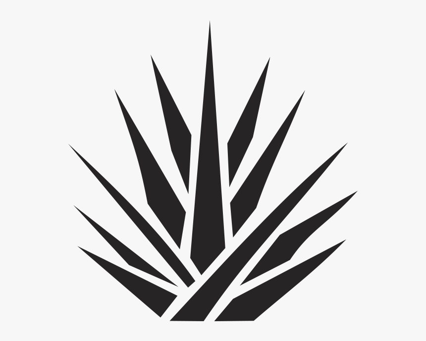 Agave Plant Png Logo, Transparent Png, Free Download