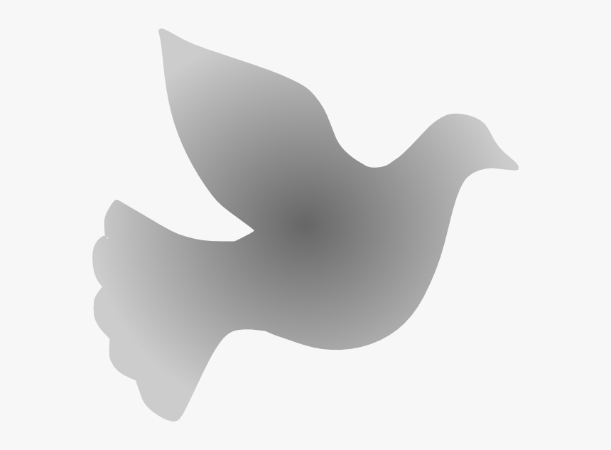 Transparent Bird Vector Png - Silver Dove Clipart, Png Download, Free Download