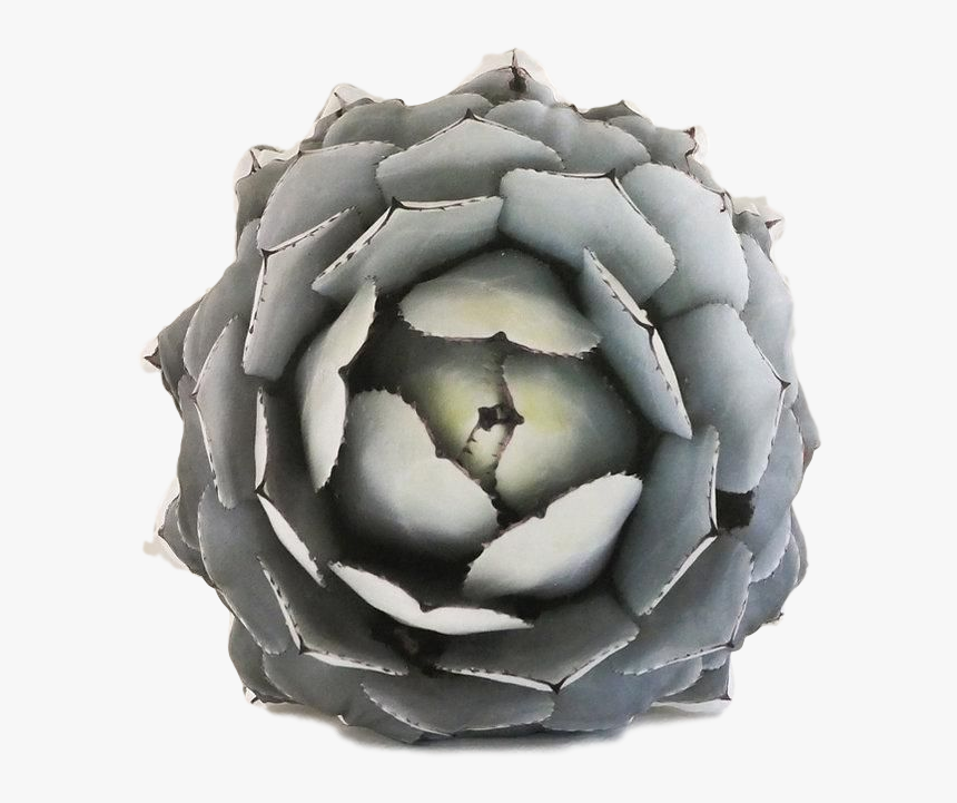 Agave Azul, HD Png Download, Free Download