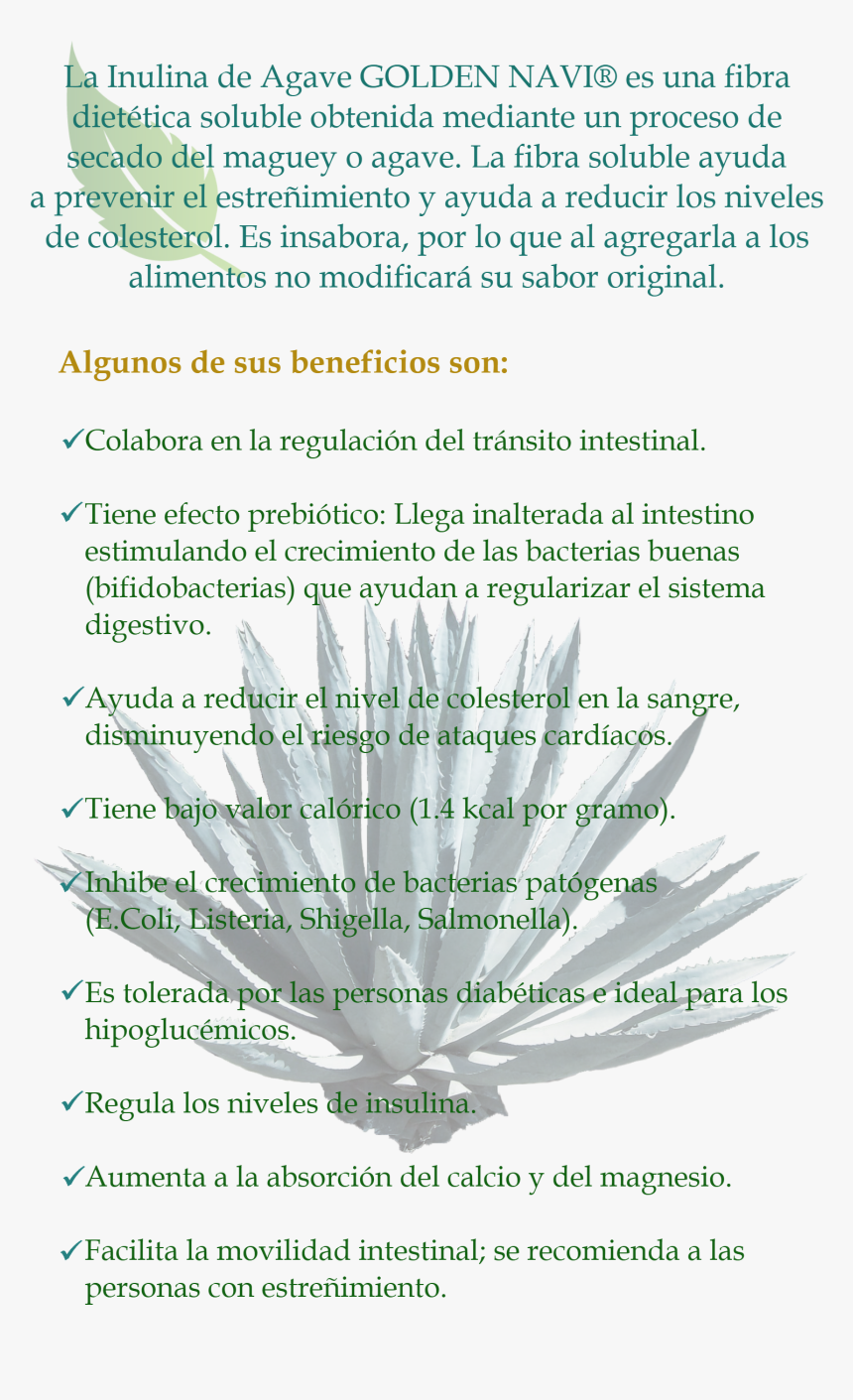 Inulina Beneficios, HD Png Download, Free Download