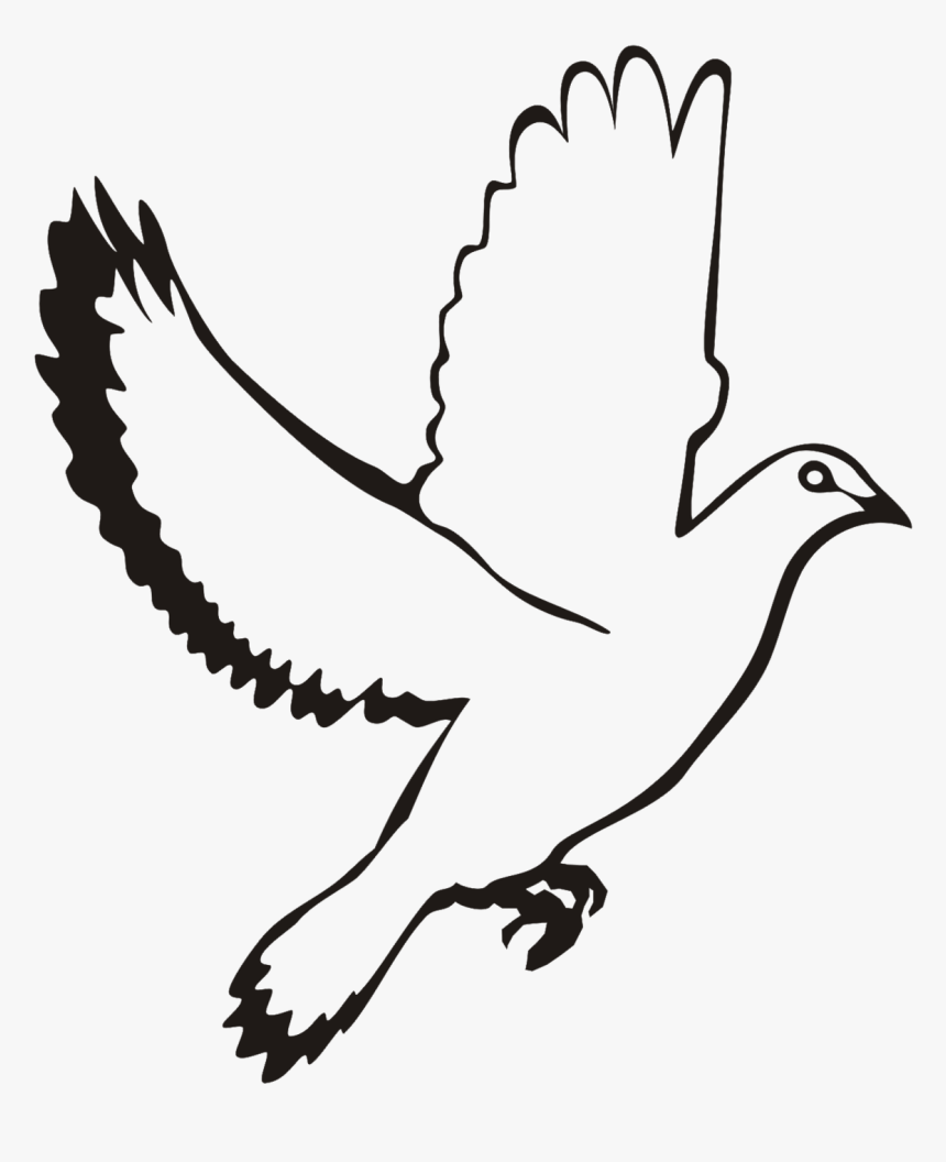 White Flying Dove Clipart - Clip Art, HD Png Download, Free Download